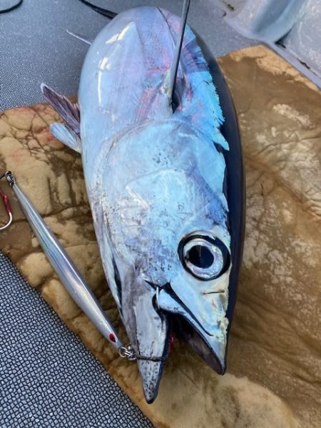 へいみつ丸 釣果