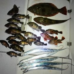 TOPGUN名古屋 釣果