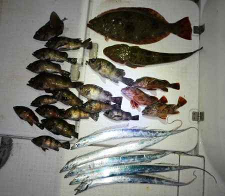 TOPGUN名古屋 釣果