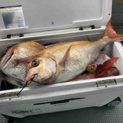 遊漁船 セトマリン 釣果