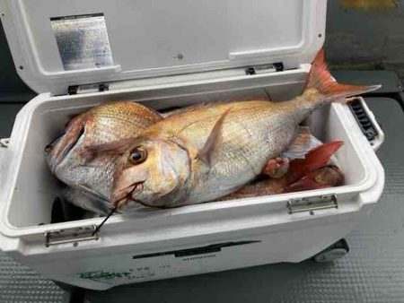 遊漁船 セトマリン 釣果