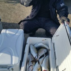 第五慶門丸 釣果