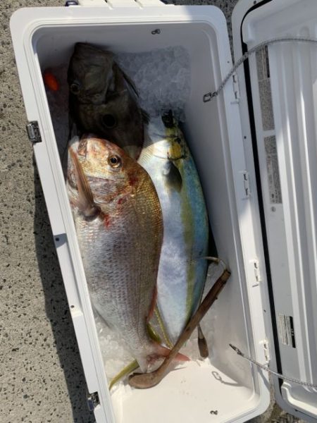 第八大安丸 釣果