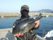 春日丸 釣果