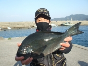 春日丸 釣果