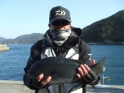 春日丸 釣果