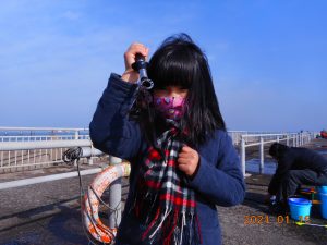 鹿島港魚釣園 釣果