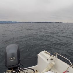 フィッシングボート空風(そらかぜ) 釣果