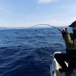 フィッシングボート空風(そらかぜ) 釣果