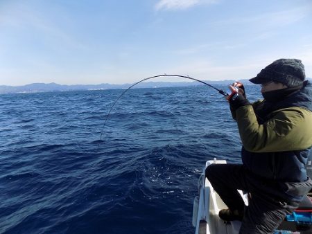 フィッシングボート空風(そらかぜ) 釣果