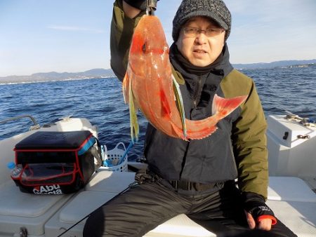 フィッシングボート空風(そらかぜ) 釣果