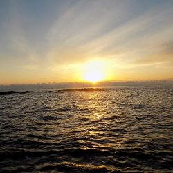 フィッシングボート空風(そらかぜ) 釣果