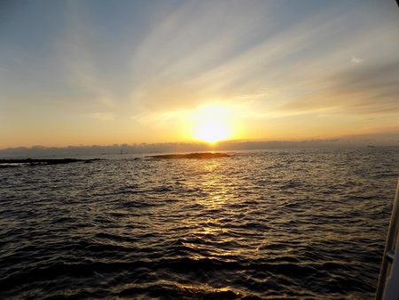 フィッシングボート空風(そらかぜ) 釣果