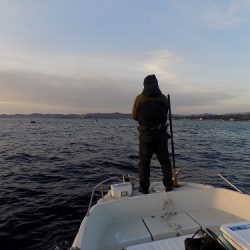 フィッシングボート空風(そらかぜ) 釣果