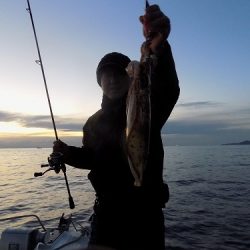フィッシングボート空風(そらかぜ) 釣果