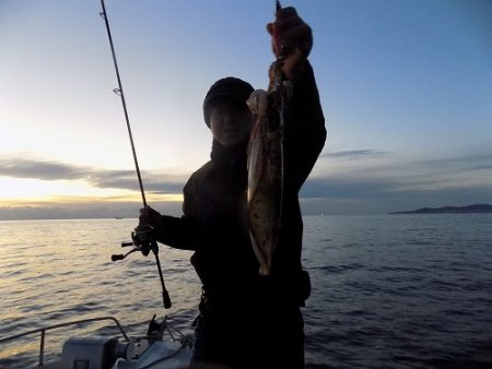 フィッシングボート空風(そらかぜ) 釣果