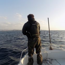 フィッシングボート空風(そらかぜ) 釣果