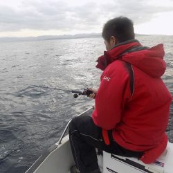 フィッシングボート空風(そらかぜ) 釣果