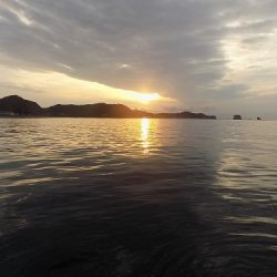 フィッシングボート空風(そらかぜ) 釣果