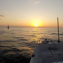 フィッシングボート空風(そらかぜ) 釣果