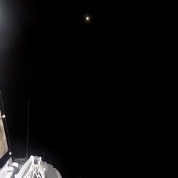 フィッシングボート空風(そらかぜ) 釣果