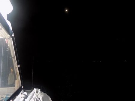 フィッシングボート空風(そらかぜ) 釣果