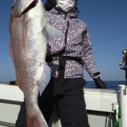 飛燕さくら丸 釣果