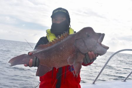 Fisherman Dreams DI 釣果