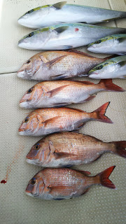 釣り舟　海竜 釣果