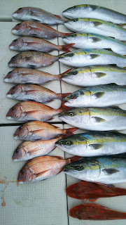 釣り舟　海竜 釣果