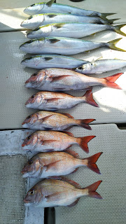 釣り舟　海竜 釣果