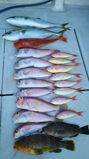 釣り舟　海竜 釣果