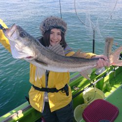 深川 吉野屋 釣果