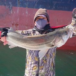 深川 吉野屋 釣果