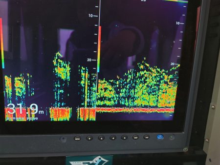 深川　吉野屋 釣果