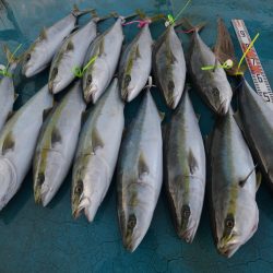 アジアマリンサービス 釣果