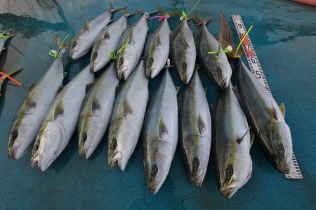 アジアマリンサービス 釣果