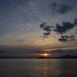 アジアマリンサービス 釣果