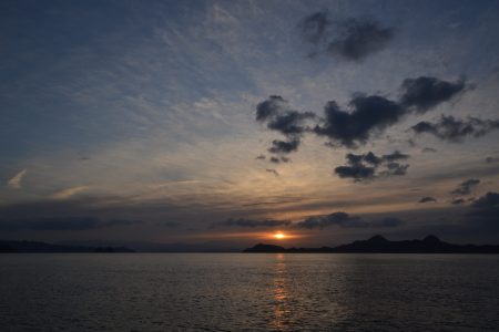 アジアマリンサービス 釣果