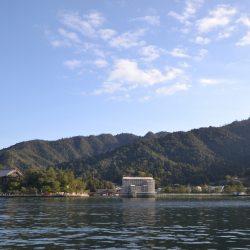 アジアマリンサービス 釣果