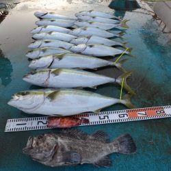 アジアマリンサービス 釣果