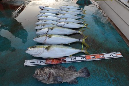 アジアマリンサービス 釣果