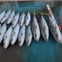 アジアマリンサービス 釣果