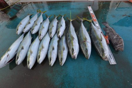 アジアマリンサービス 釣果