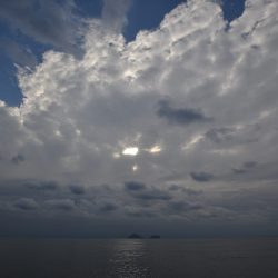 アジアマリンサービス 釣果