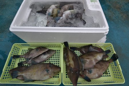 アジアマリンサービス 釣果