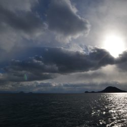 アジアマリンサービス 釣果