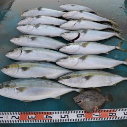 アジアマリンサービス 釣果