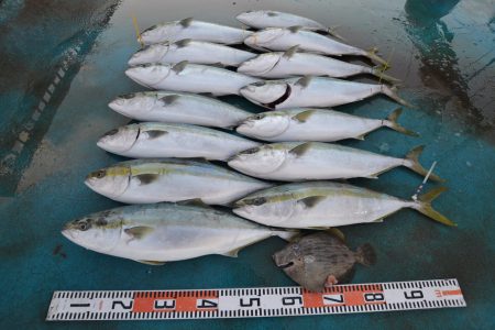 アジアマリンサービス 釣果