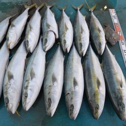 アジアマリンサービス 釣果